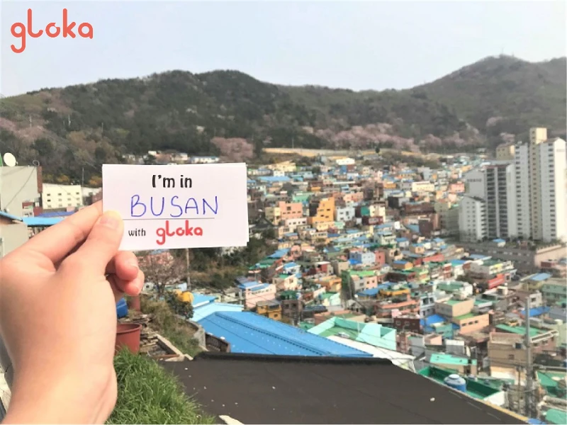 Korea Voice and Data SIM Card China Unicom