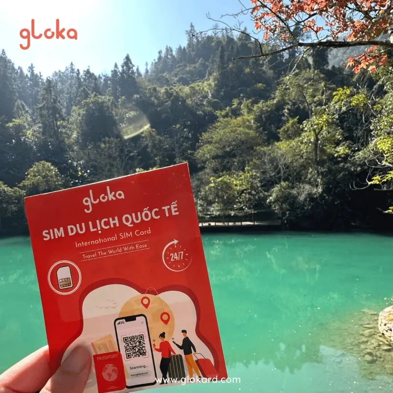 mua sim du lịch châu âu