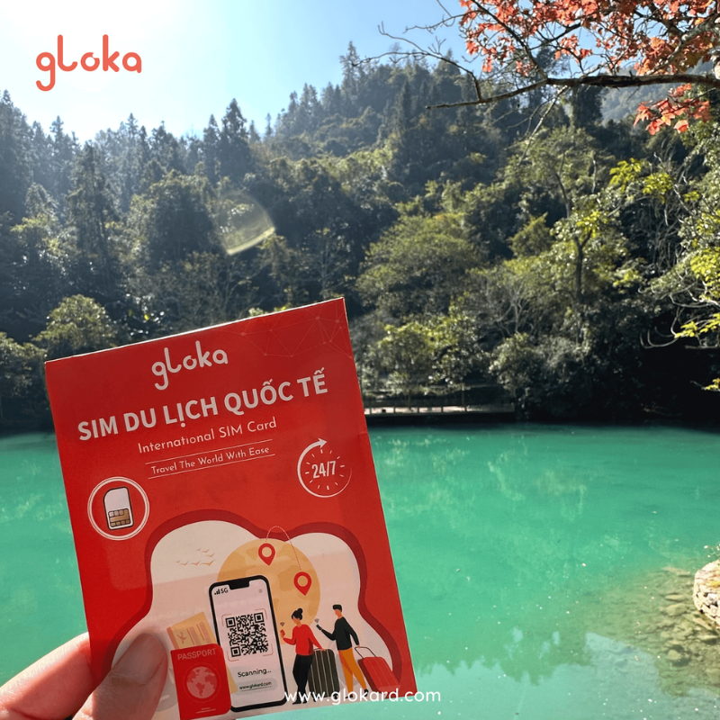 United Kingdom Travel SIM Card Three UK