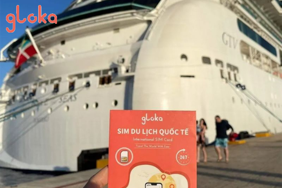 Philippines Travel SIM Card Twise Globe Signal